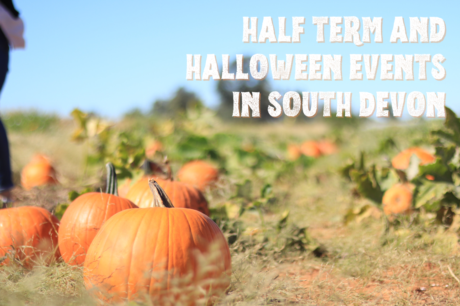 half term and halloween events in south devon